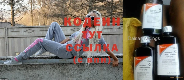 индика Сафоново