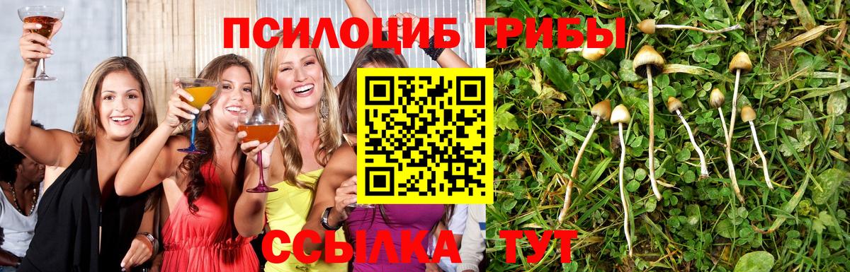 наркотики  Галлюциногенные грибы Psilocybine cubensis  Вход с VPN  Майский  Псилоцибиновые грибы ЛСД 
